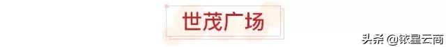 全球首家Swisse玩美养生馆，上海购物中心3月最新进品牌汇总