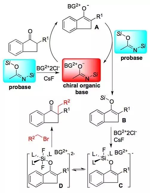 新加坡南洋理工大学陈俊丰教授课题组近年来重要工作概览