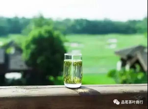 绿茶的16个冷知识，你知道吗？