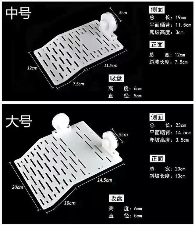 独家，CIPS 公布七十款水族新产品，引行业注目