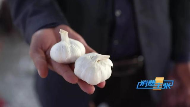 批发价最高每斤5.1元！近期蒜价持续上涨，什么时候价格才能回落？