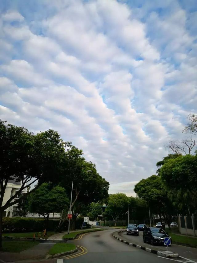 新加坡的天空，简直是王炸！