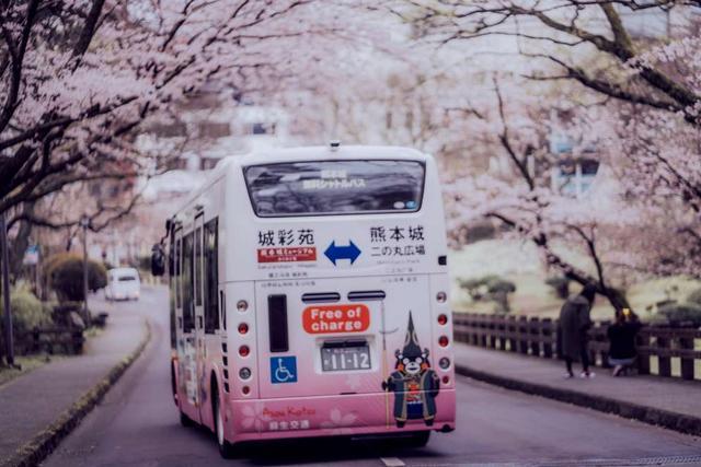 日本将迎来电子签证时代 提前掌握飞猪在线签证利器