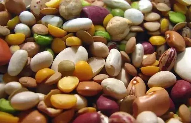 「观察两亚」缅甸豆类价格暴涨，部分农户仍有亏损