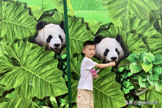 新加坡动物园，热带雨林中的欢乐动物城