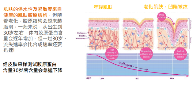 胶原蛋白到底有没有效果？看营养师亲测结果