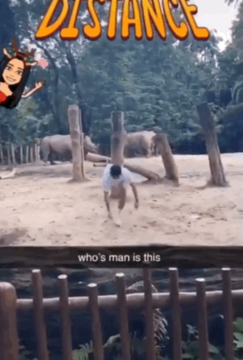 新加坡小伙为拍短视频跳进犀牛圈里