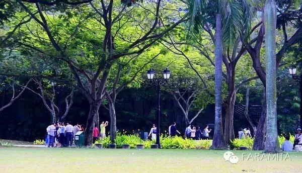 不学香港！深圳要学的新加坡“住房模式”什么样？