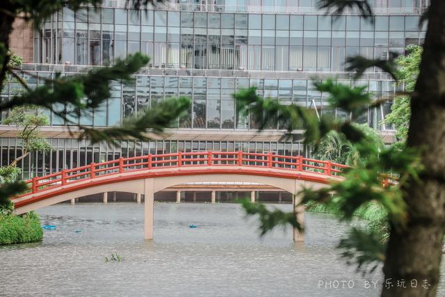 带娃入住珠海城市中的花园，感受最具海洋风情的周末