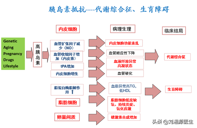 「免疫相关不良妊娠答疑解惑69」—胰岛素抵抗和血糖高