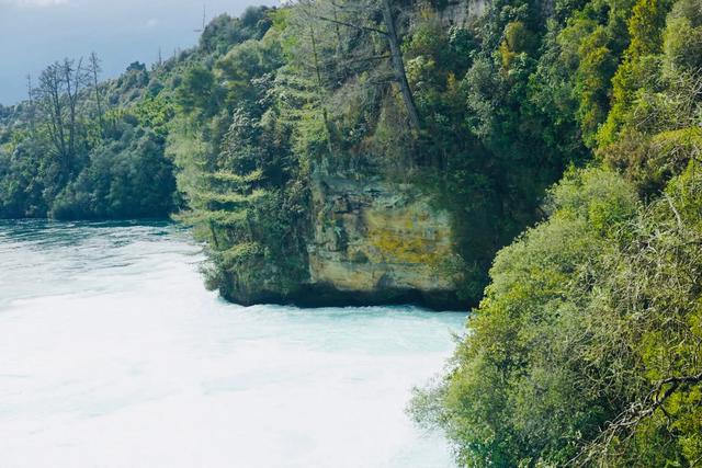 走进新西兰（D5）陶波：在胡卡瀑布，偶遇网络神兽“草泥马”