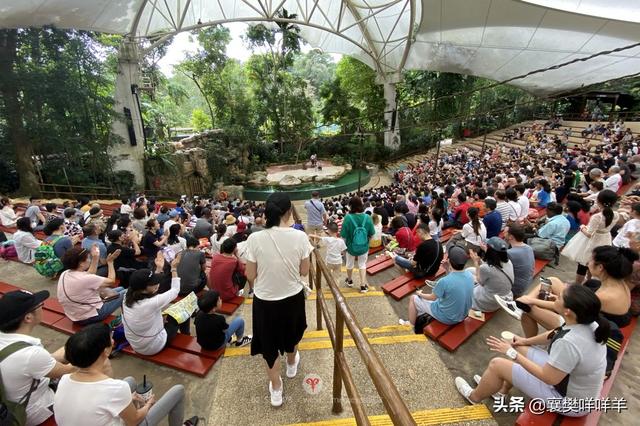 新加坡动物园，热带雨林中的欢乐动物城