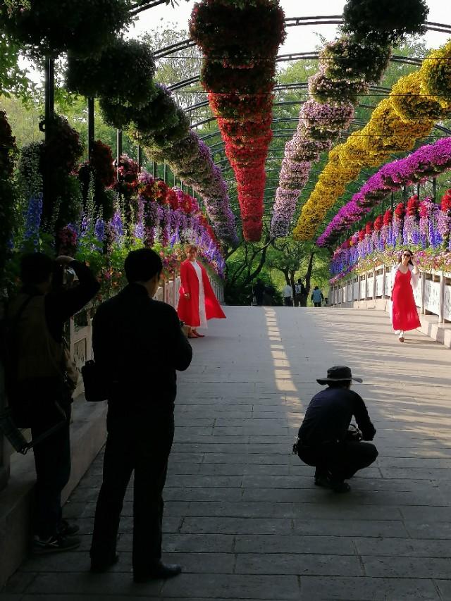 五月长假何处去？万花园中打卡来！