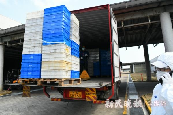 复工复产第一现场｜长三角通了，产业链通了