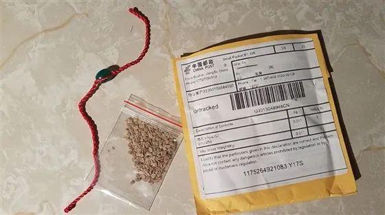 "来自中国的神秘种子"，还真有人种了…