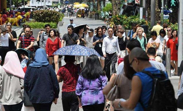 新加坡人要放弃华语，专家却表示：不可以，否则以后会后悔的