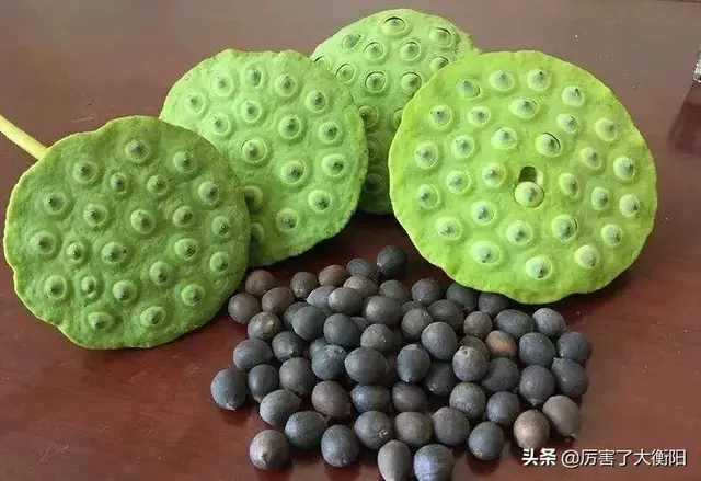 骄傲！衡阳又新增三产品入选国家地标认证！你都吃过吗？
