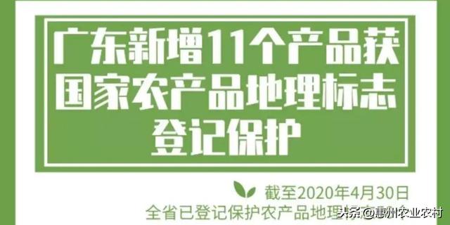 惠州再添3个国家地理标志保护产品！好吃到停不下来…