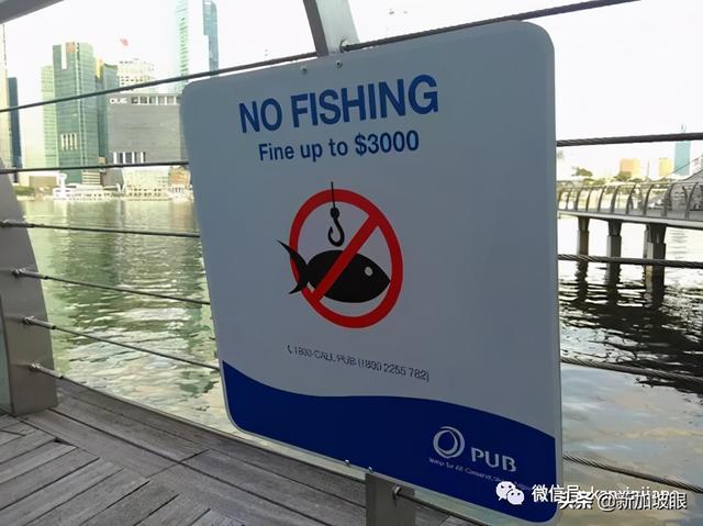 胆大！少年在重要基地垂钓，准备3000新币缴罚金吧