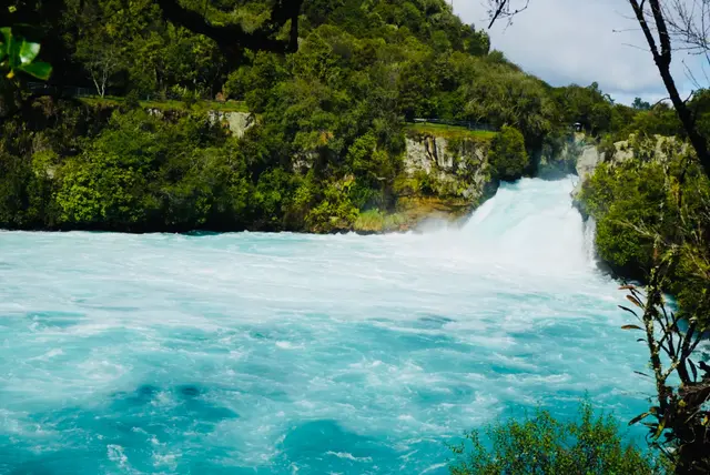 走进新西兰（D5）陶波：在胡卡瀑布，偶遇网络神兽“草泥马”
