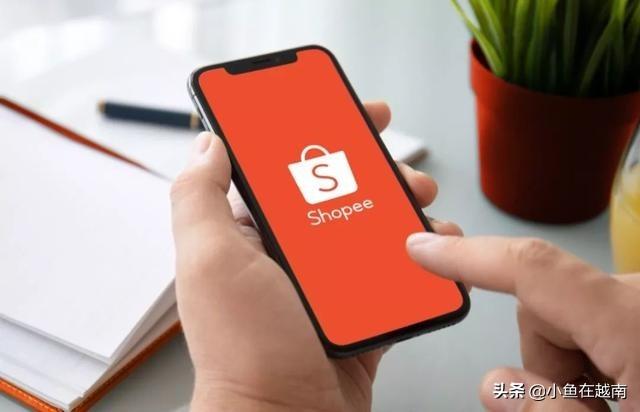 新加坡《商业时报》预测越南电商发展猛如虎