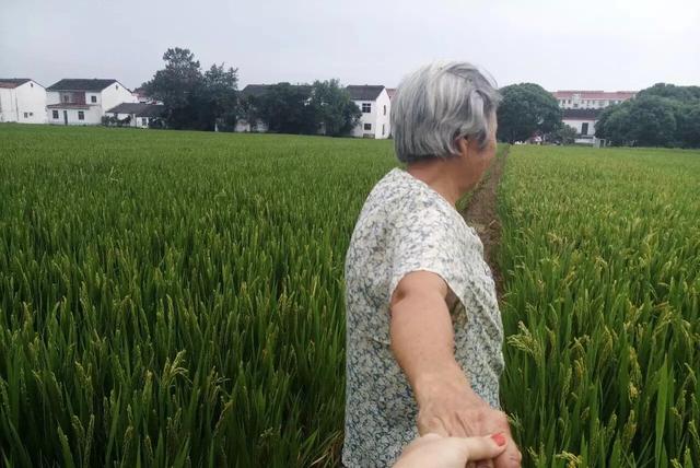 《云边有个小卖部》温暖伴你度过疫期，待春暖花开