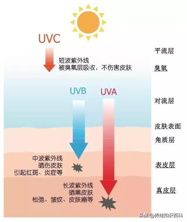 太阳伞选购看这4个方面，遮阳更有效，助辣妈安然度过炎炎夏日