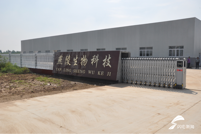 山东老字号丨燕陵蜜酒：突破技术创新研发 传播千年蜜酒文化