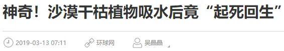 让肌肤“起死回生”的面膜，保湿、修护一瓶搞定