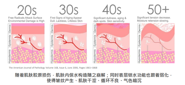 胶原蛋白到底有没有效果？看营养师亲测结果