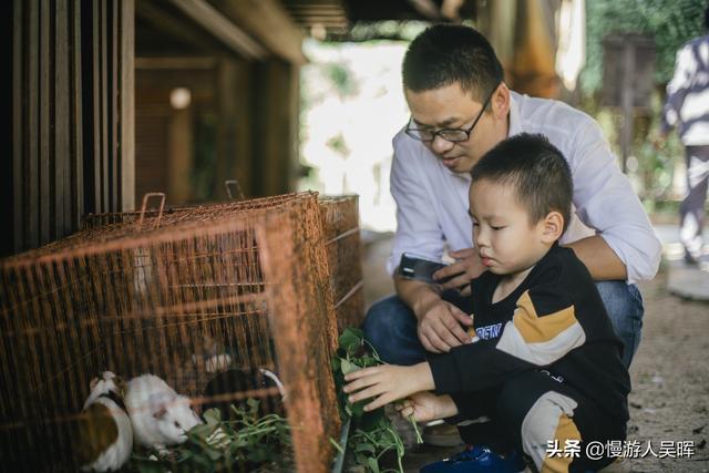 亲子自驾旅行，三天2晚玩转三亚海棠湾，准备好了吗？