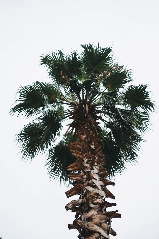 在成都的“碧海蓝天”下，吃遍全球是怎样的体验？