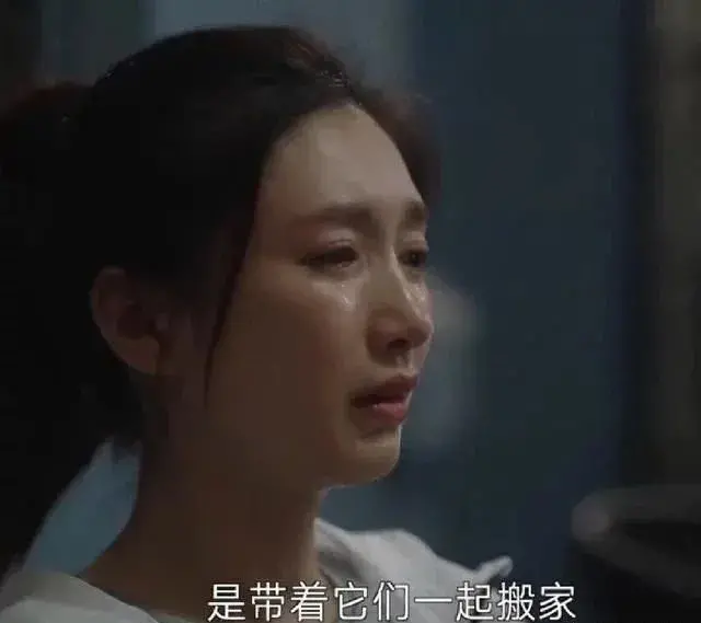 中国陪读妈妈在新加坡假结婚骗身份，或面临长达10年监禁