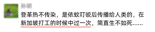 你家还在养蚊子？新加坡2万人感染登革热，史上最严重