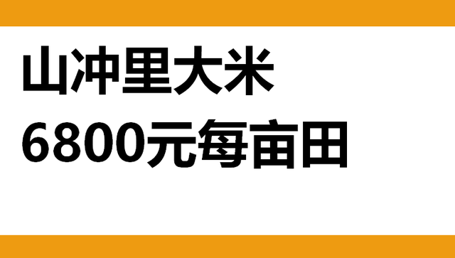 策划走访纪实：洋蓟是什么？云南，绝版好物有竹子，