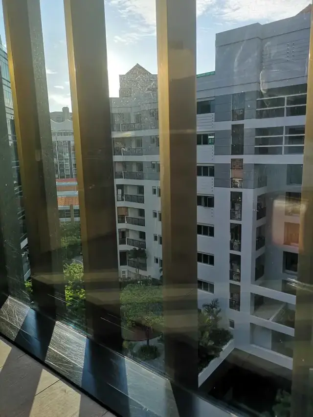 我们在新加坡被隔离着之五