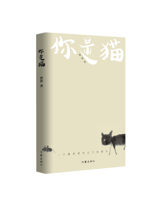 “2019年度十佳华语诗人、十佳华语诗集”终评结果揭晓