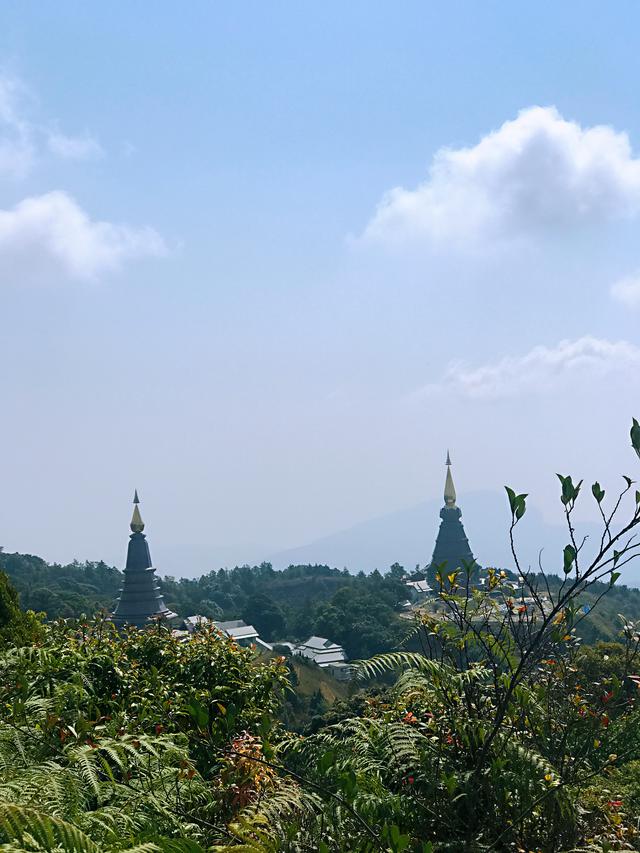 一面是残酷，一面是温情，实拍受旅游重创的泰北旅游城市清迈