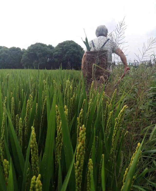 《云边有个小卖部》温暖伴你度过疫期，待春暖花开