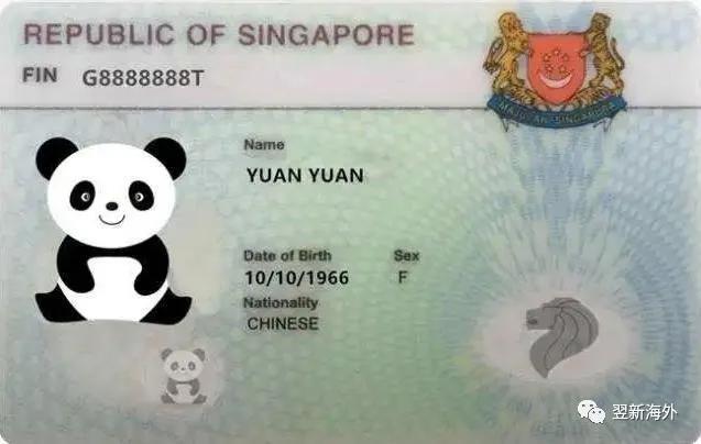 新加坡要逐步开放国境，何时能从中国入境、申请准证？