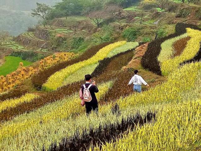 去上虞覆卮山攀浪，脚下踩的是百万年前的地质奇观