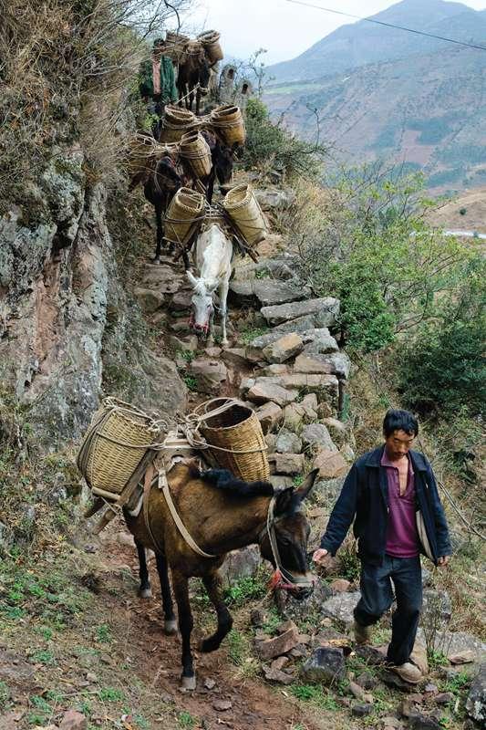 「探访茶马古道」中国最长古道，都市人寻找心灵慰藉之地