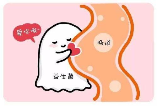 养好肠道菌群，孕妇胎儿都获益