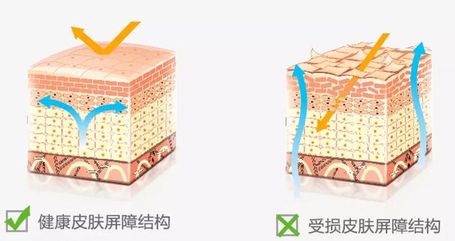 你的脸蛋“一键美颜”，除了滤镜还靠什么？