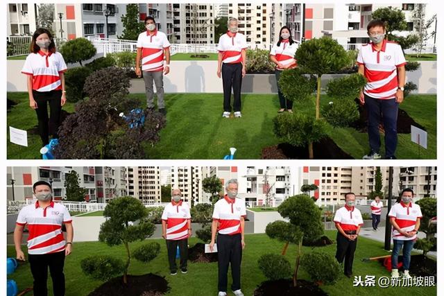 你见过新加坡总理李显龙屋顶种树吗？