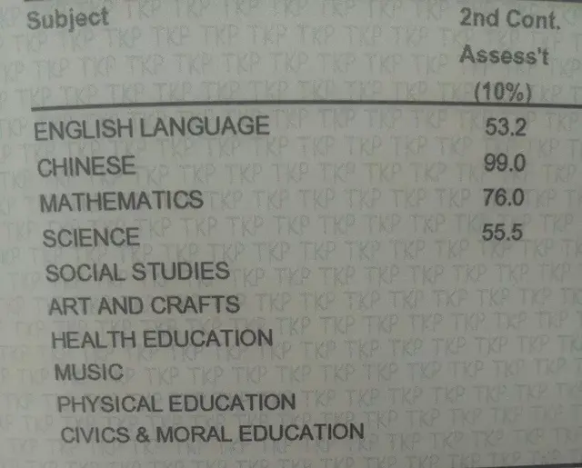 年少时留学新加坡？你们成为双语人才，我却成为了仨语分裂症患者