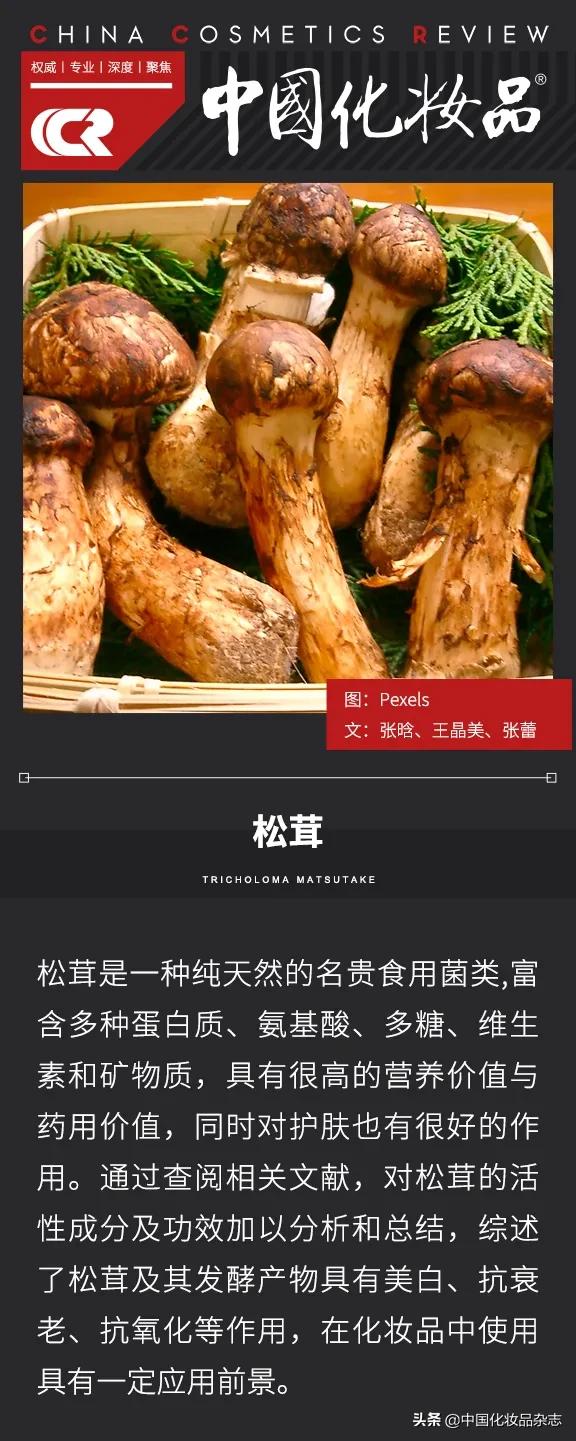 产业前瞻 | 美食届的奢侈品——松茸跨界护肤领域，再掀热门成分新浪潮