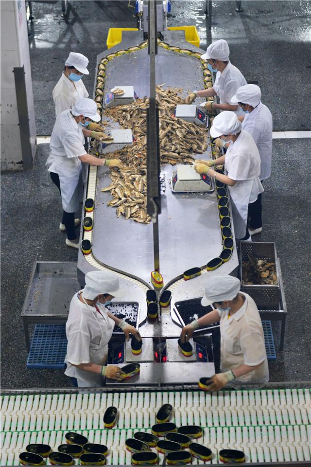 海关精准施策，企业加快生产，中山鲮鱼罐头出口量大增