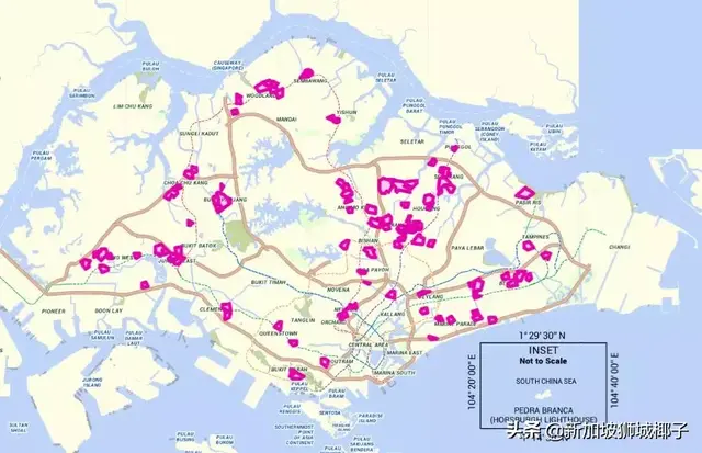 新加坡紧急提醒！骨痛热症一周出现313起，住在这些区要注意...