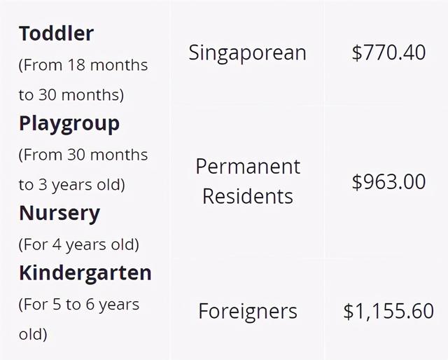 盘点新加坡贵族幼儿园，学费每周$600+！孩子们都学什么？